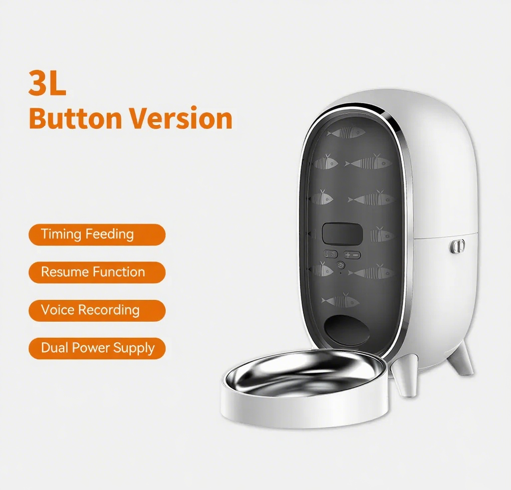 3l wifi